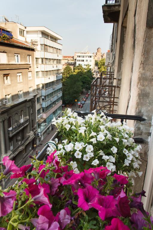 Stay In Apartments Beograd Rom bilde